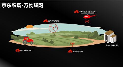 乡村智慧化农业保险服务升级,农业保险的新时代使命(7)