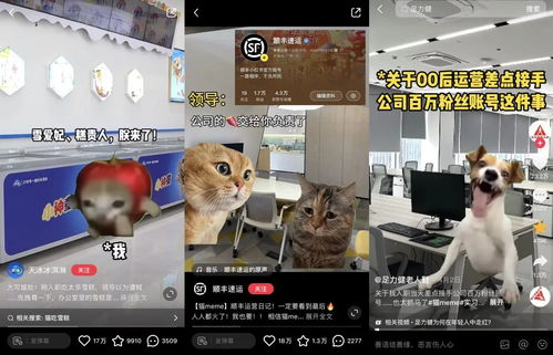  猫meme视频怎么做,大笑的猫迷因视频的制作方法 区块链