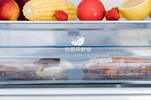一次屯够一周的食材 美的小户型 大容量冰箱体验评测