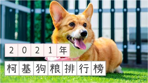 柯基减肥狗粮排行榜柯基犬吃什么狗粮好呢 