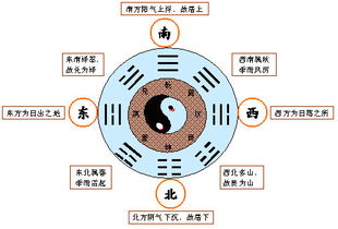 震惊世界的 易 学宇宙图