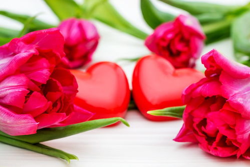 三棵粉玫瑰的花语：无尽的爱与守护，让爱情之花绽放于心灵之巅