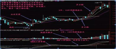 一位炒股高手坚持用 MACD 的炒股口诀,从不亏损,连庄家都上门求学