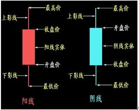 我想抄股 教教我