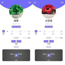 pp叫个网名,ppask免费查重入口 pp叫个网名,ppask免费查重入口 词条