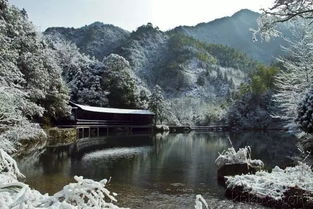 浙江下雪了 衢州最低 2 新一股冷空气马上到货 还有台风 启德 生成 