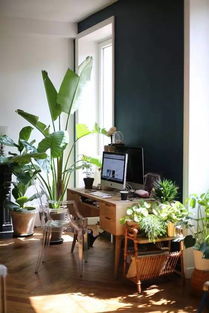适合室内种的绿植,室内绿植推荐：打造你的绿色生活空间
