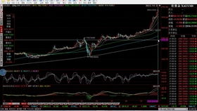 黄金上涨为什么黄金股不涨