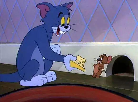 猫和老鼠汤姆21点知识如何搭配知识卡