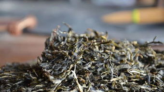 古树普洱是什么茶,普洱茶属于哪个茶系