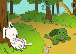 兔子和乌龟哲理故事(关于兔子和乌龟的故事)