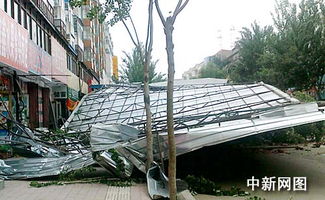 哈尔滨大风成灾 造成2人死亡2人受伤 