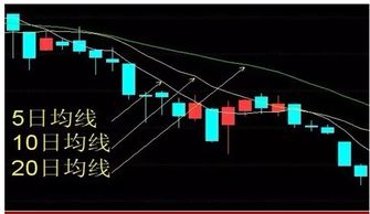 均线空头排列，出局金融界什么意思