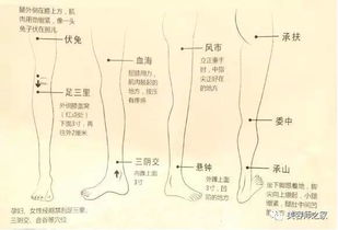 头部专业知识话术