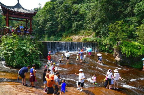 广州有什么适合夏天一家人游山玩水的地方 (广州亚运城附近宠物店)