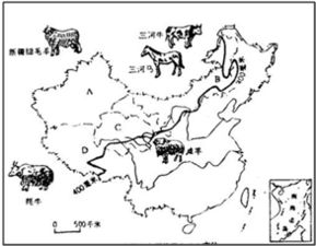 我国的三大产棉基地是什么？