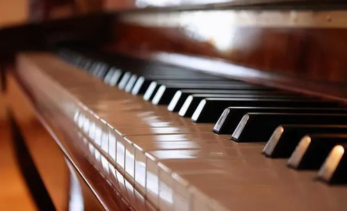 XX艺考钢琴专业需要考哪些科目