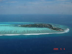 马尔代夫哪个岛因海啸而被毁灭