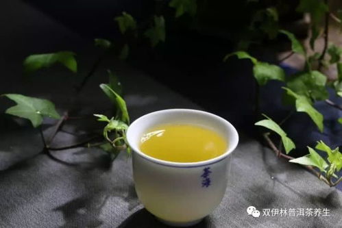 勐库茶的特点和口感勐库茶的特点和口感是什么