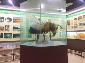 中国蜜蜂博物馆,介绍中国蜜蜂博物馆
