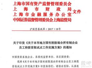 公司让员工控股， 但是是通过自己公司建的皮包公司来持股， 银行说好的股份抵押！最好只能信用贷