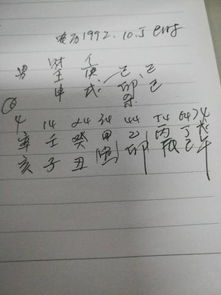 敬请达士详解八字运势和姻缘诸事,拜谢 壬申年庚戌月己卯日巳时,男 