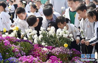 清明节祭英烈句子怎么写