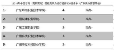 广东岭南职业技术学院毕业论文排版