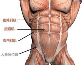 腹肌不要闹了虐腹八大招 