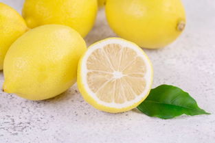 lemon什么意思 lemon的意思-图2