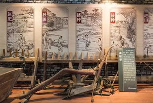 王升大博物馆,王升大博物馆：探索历史和文化的宝藏