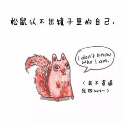 蠢萌小漫画告诉你的那些冷知识 