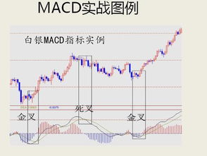 趋势型指标和超买超卖指标哪个好