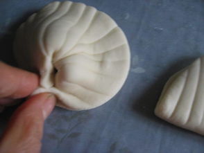 贝壳馒头的做法,贝壳馒头怎么做好吃,贝壳馒头的家常做法 淡墨痕 