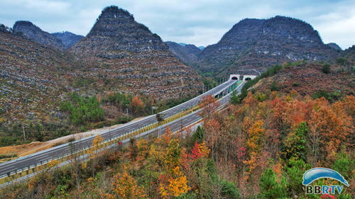 平塘路,平塘路415弄红梅小区属于哪个居委会-第3张图片