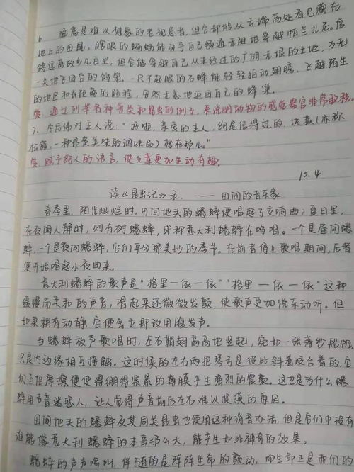 阅读之美,创作之乐