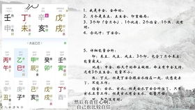 四柱八字命理零基础公开课第三期 五种格局的能量制衡