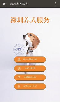 微信也能办 犬证 了 深圳城管 养犬服务平台 上线