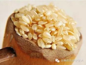 糙米 糙米有哪几种米