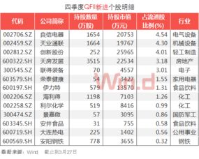 如何看主力持仓和动向