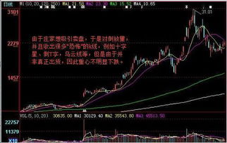 一般一支股庄家和散户各占多少比例