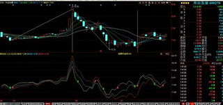 哪个股票行情软件可以看到SKDJ慢速随机指标（超买超卖型）？