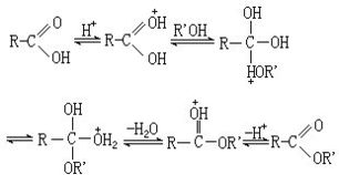 酯化反应