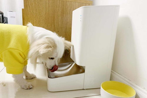 小米米家智能宠物喂食器开箱体验 定时定量喂食,断电断网也不怕