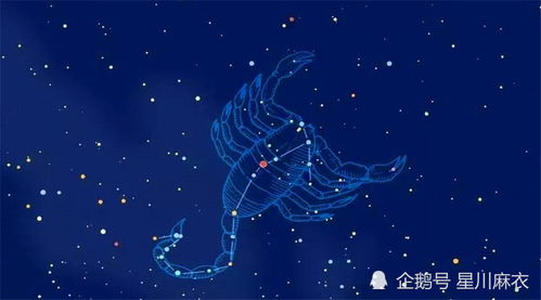1月3 9日星座运势解析 天秤 天蝎 射手 摩羯 水瓶 双鱼座