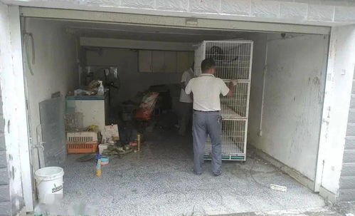 高安有某居民在车库养猫,严重影响他人生活 被投诉