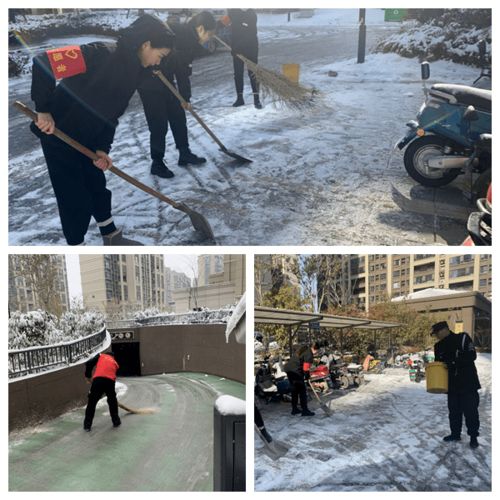 有我们在,您只管看雪 物业服务行业青年投身扫雪除冰行动