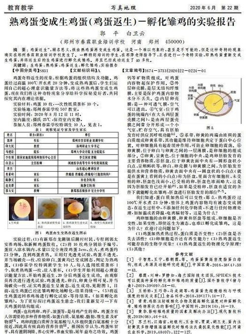 免费意论文查重工具大盘点，省钱又实用