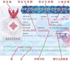 办理泰国签证需要什么材料(泰国留学签证办理流程及费用)（办泰国签证需要什么资料）