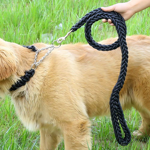 狗绳狗狗用品牵引绳狗链子小型犬中型大型犬金毛泰迪狗绳子遛狗绳